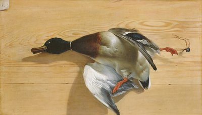 Una Anatra su una Tavola di Pino, 1753 da Jean Jacques Bachelier